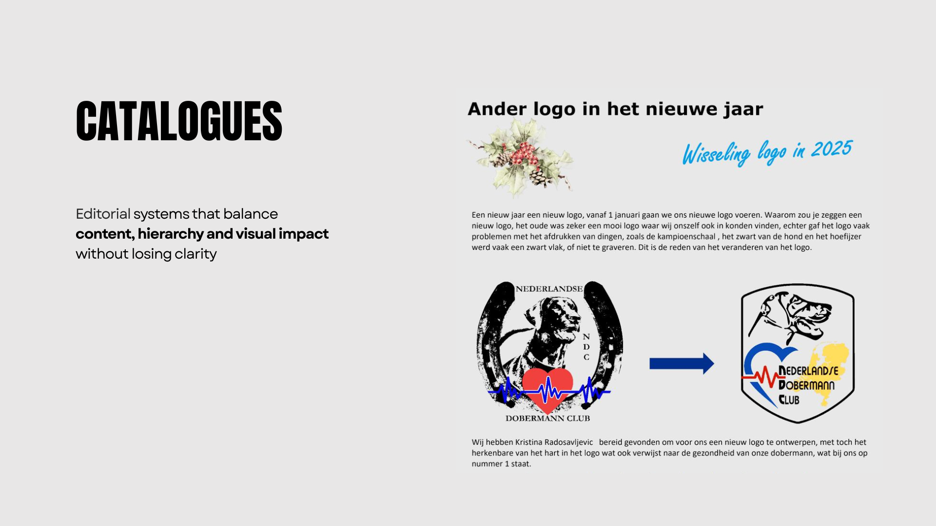 Lionsign portfolio slide 18