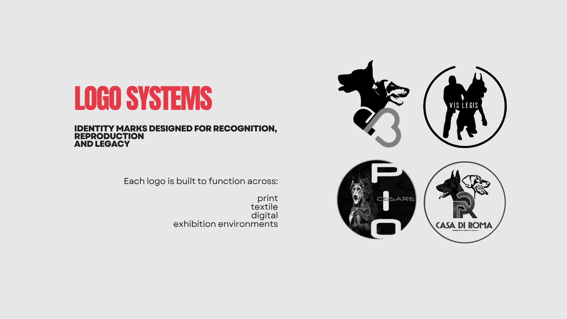 Lionsign portfolio slide 03