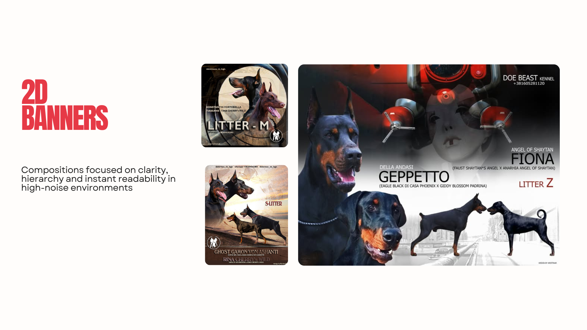 Lionsign portfolio slide 07